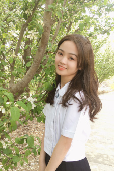 夏台凤